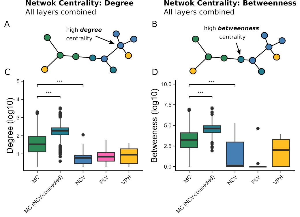 New work out! A multilayered network reveals the centrality of Nucleocytoviricota in wastewater treatment plant communities